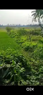 Any one interested in buying farmland for retirement?.