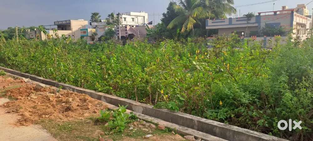 babametta  near vijji stadium