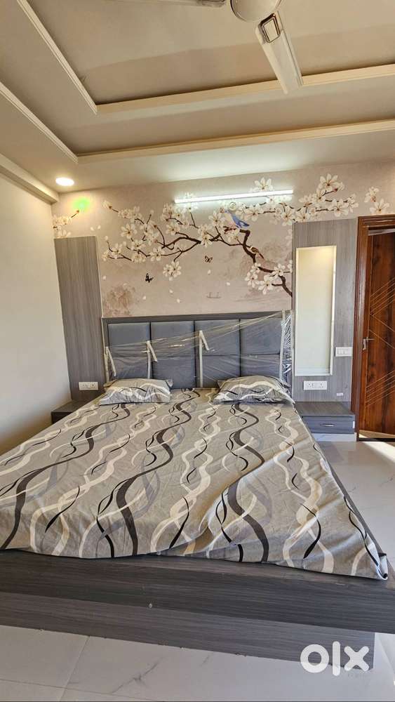 1 BHK beautiful flats at mansarovar