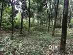 6 acre rubber plantaion land for sale
