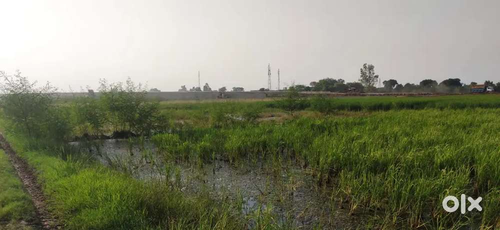 1acre land mundela kala new delhi