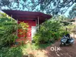 1Room kitchenFor Rent