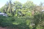 KAKKANAD PALLIKKARA 10 CENT.