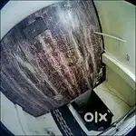 Rent 1 bhk