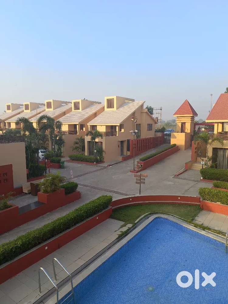 Vip girls and vip boy