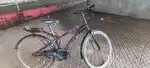 Smooth cycle very lucky