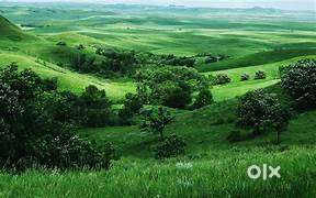 15 ACR LAND FOR SALE