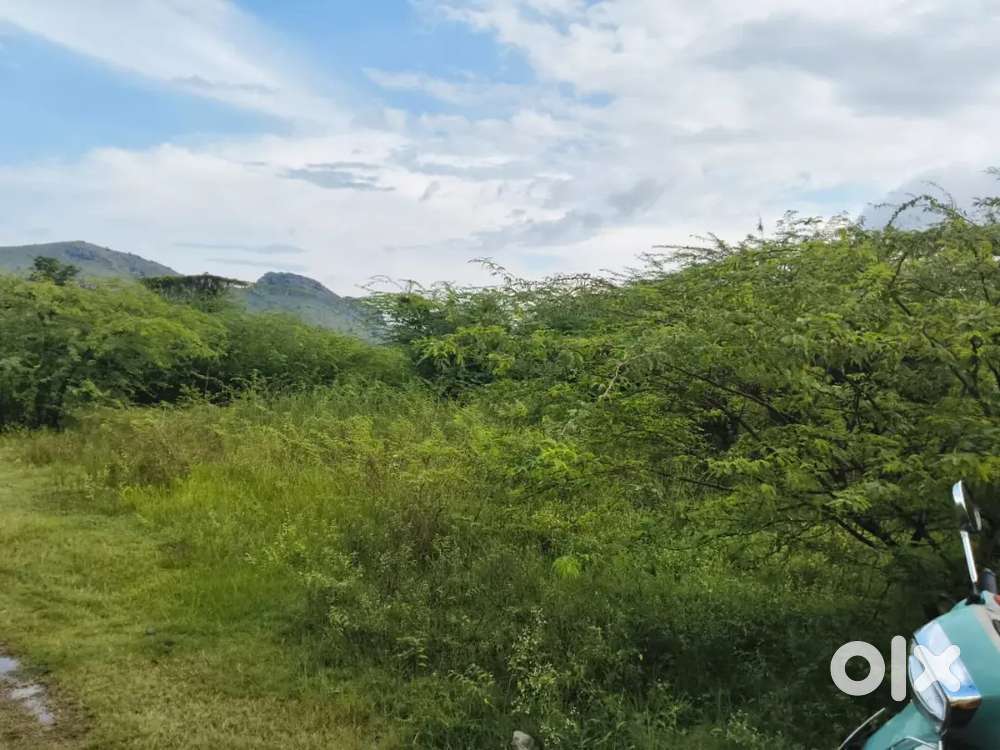 Land for sale near Thanthai Periyar Engineering College Vellore.