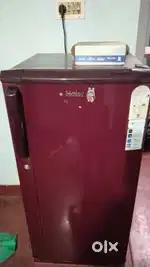 Hair Refrigerator 2019 Model