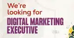 DIGITAL MEDIA EXPERT
