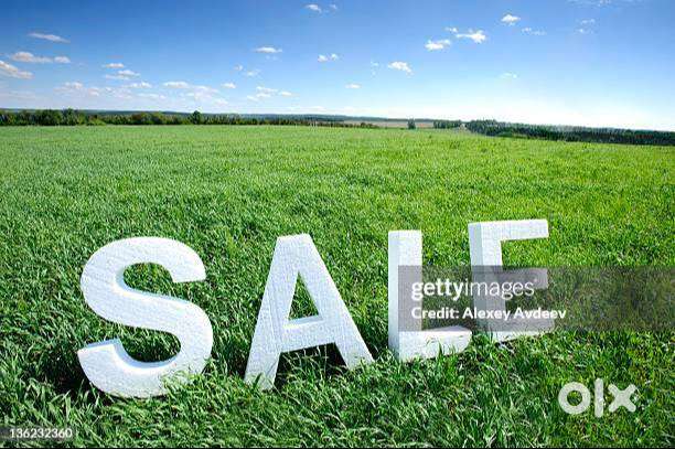 170 gaj plot saale doiwala near sugarmill premnagar hansuwala