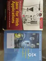 Professional Java for Web Applications & Interactive Computer Graphics