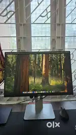 Great condition Dell 24-inch WUXGA Monitor (16:10)