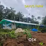 Investment opportunity on a poultry farm (duck farm)