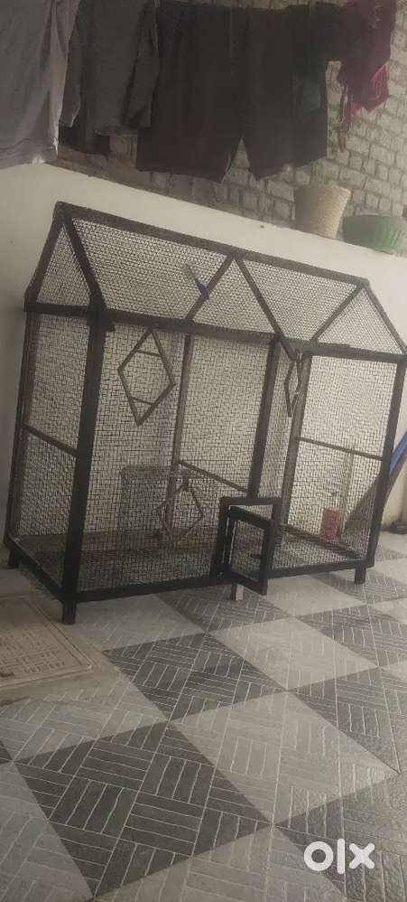 Love birds shed