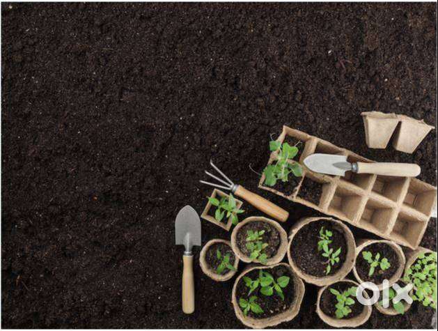 GARDENER NEEDED FOR OFFICE MAINTENANCE