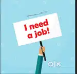 I need a job