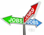 Openings for IT software development candidates