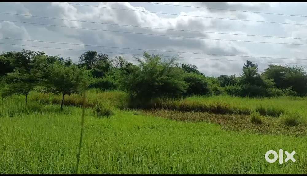 8.75 vigha jamin apva ni che