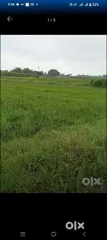 जमीन सस्ते दामों पर !