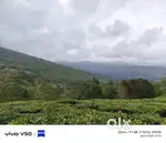 2 Acre Low Budget Mountain View LandSalein Vagamon/2 ഏക്കർ വില്പനക്ക്
