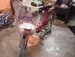 Girls Bicycle
