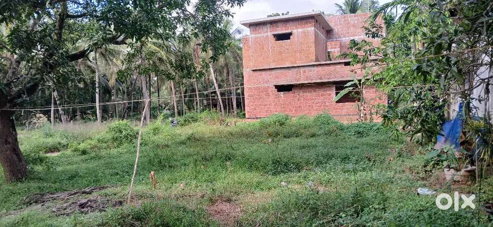 2,25,000 വീടിന് അനുയോജ്യമായ 6.50 സെന്റ് ഭൂമി വില്പനക്ക്.