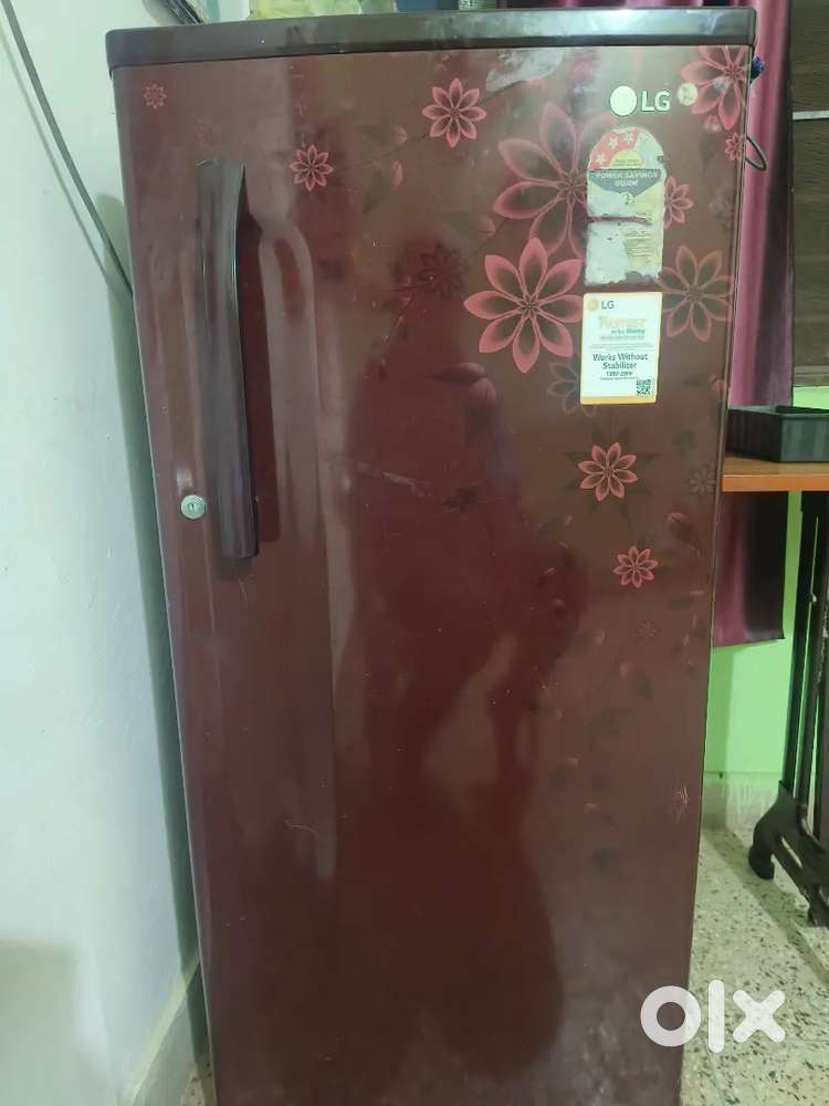 Fridge is best condition