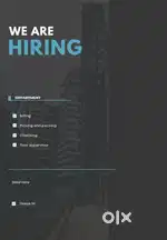 We are hiring collection executives