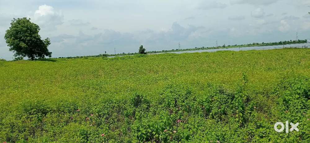 1.5 Acre Shet vikne ahe