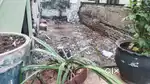 Residential plot for sale Resapuvanipalem off indoor stadium