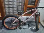 Luistone Bicycle