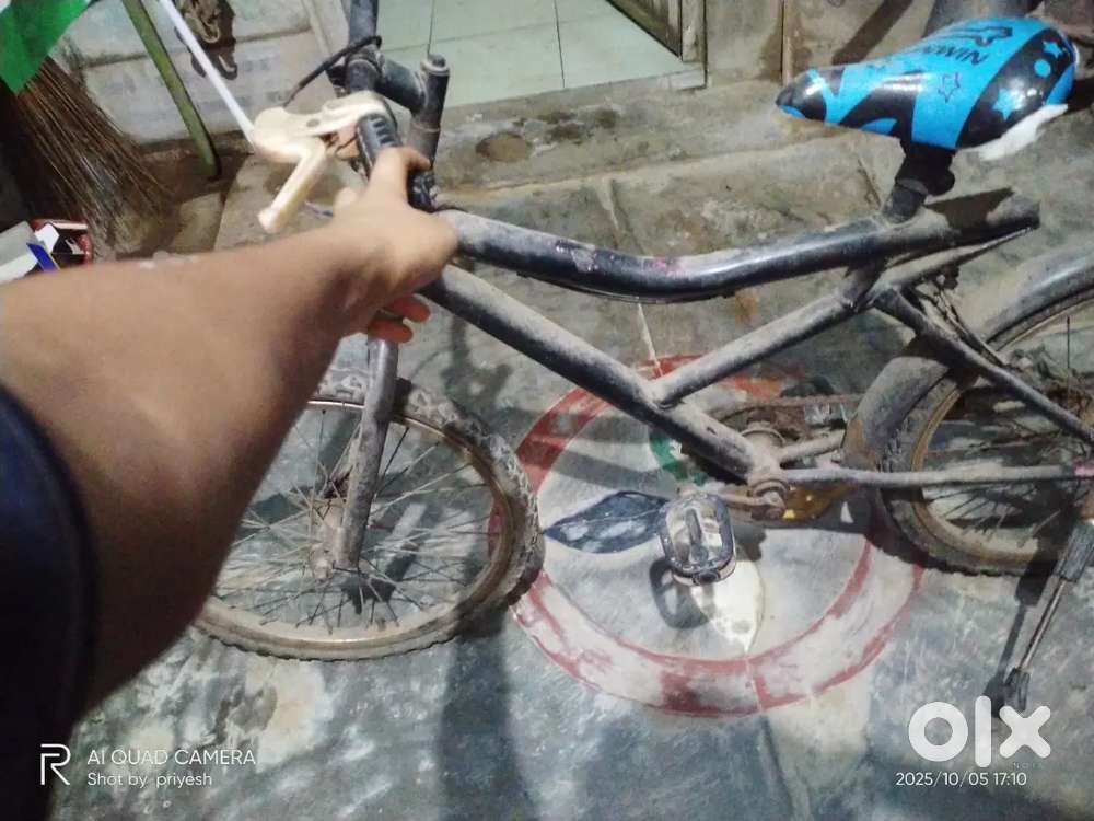Cycle 3 year old