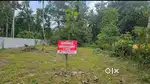 മാവേലിക്കര പല്ലാരിമംഗലത്ത് 12 സെന്റ് ഹൗസ് പ്ലോട്ട് വില്പനക്ക്