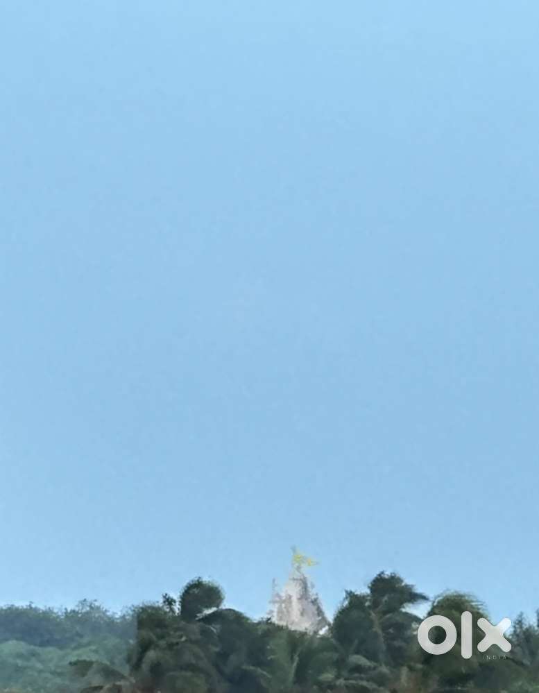 Office boy cum cleaner