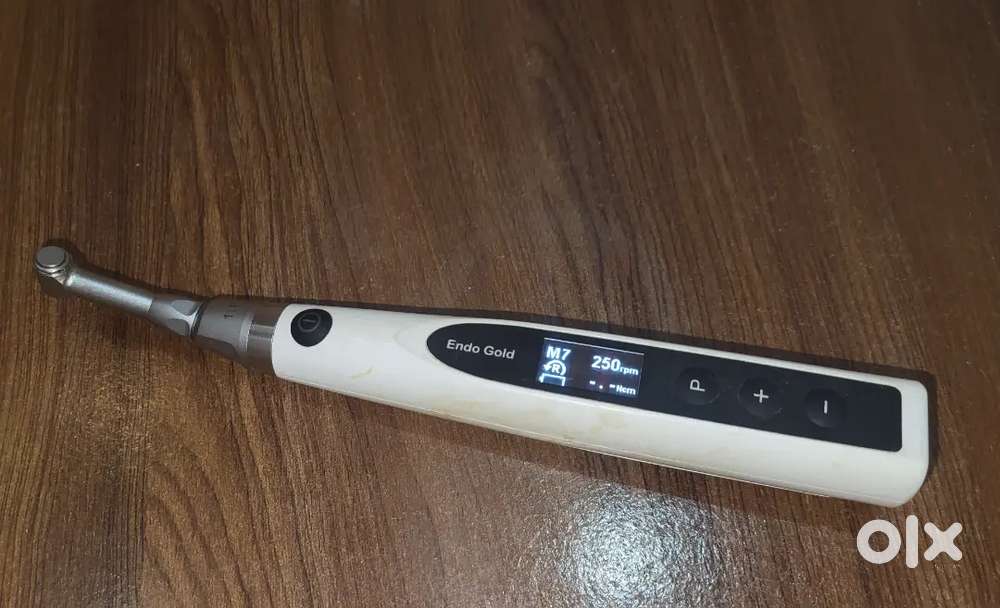 Endomotor (woodpecker)