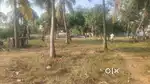 Pooncheri Temple Town Plot