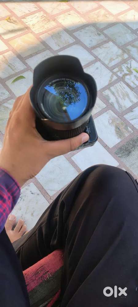 Canon and Nikon camera 80d or 7500 model