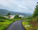 500 Acre plot Agro