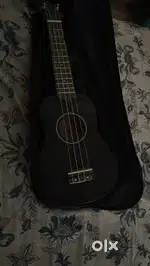 Ukulele instrument
