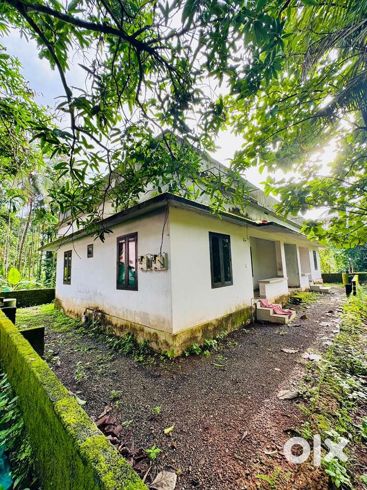 House for rent new paint