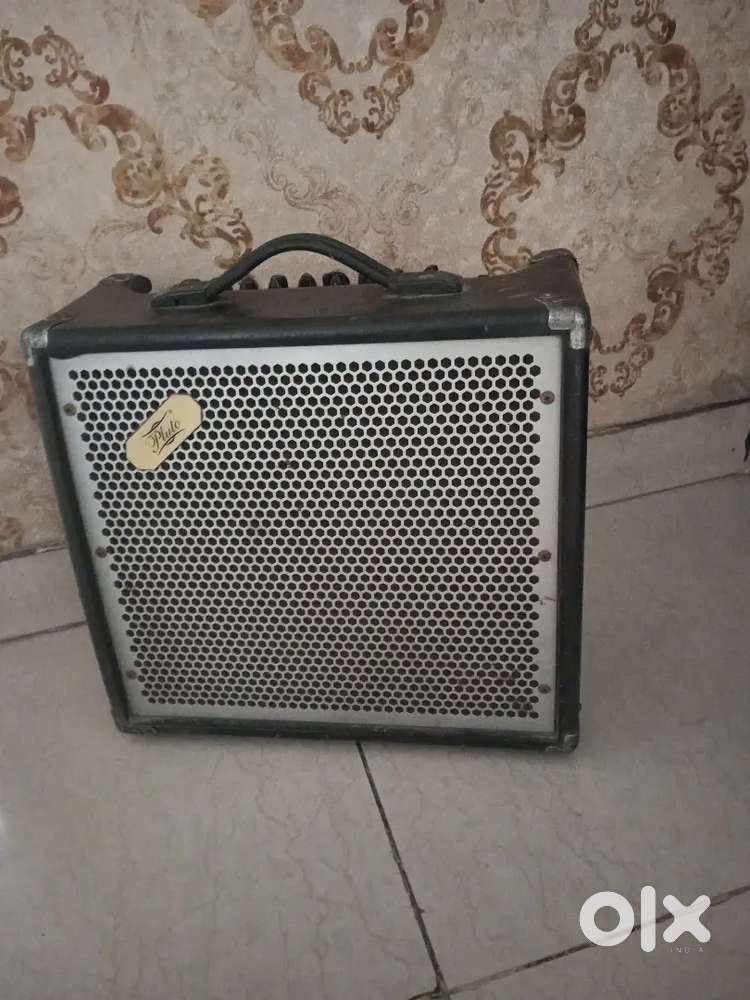 Pluto E-20DFX Electric Guitar Amplifier