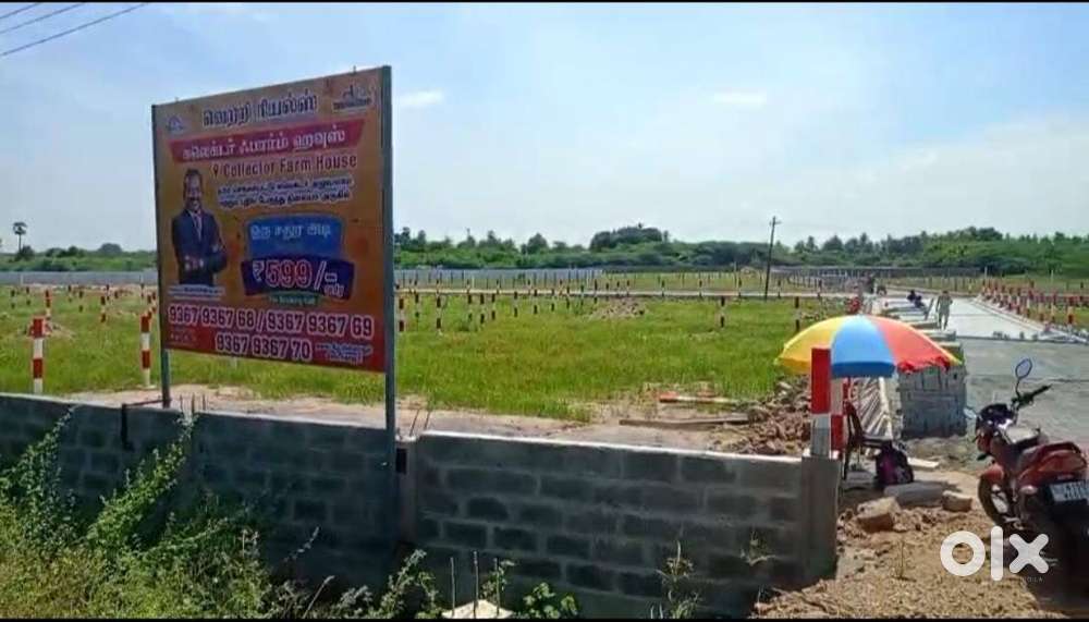 Chengalpattu Farm Land