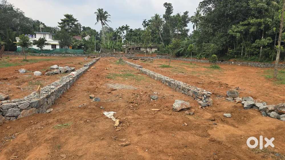 Nedumbassery near athani mekkad 4,5,7,10, cent house plot for sale
