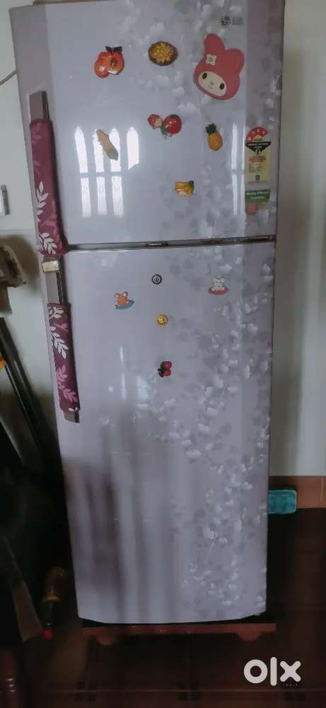 LG double door 4 star