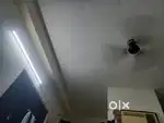 Need a partner for 1 rk, male or female bed fan wifi, RO, power backup