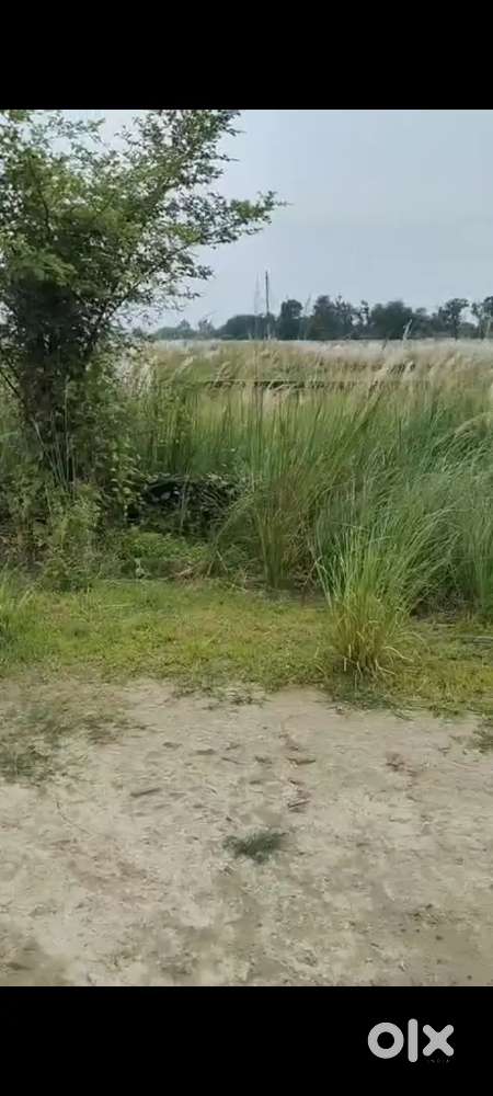 Invest plot for hostel pg