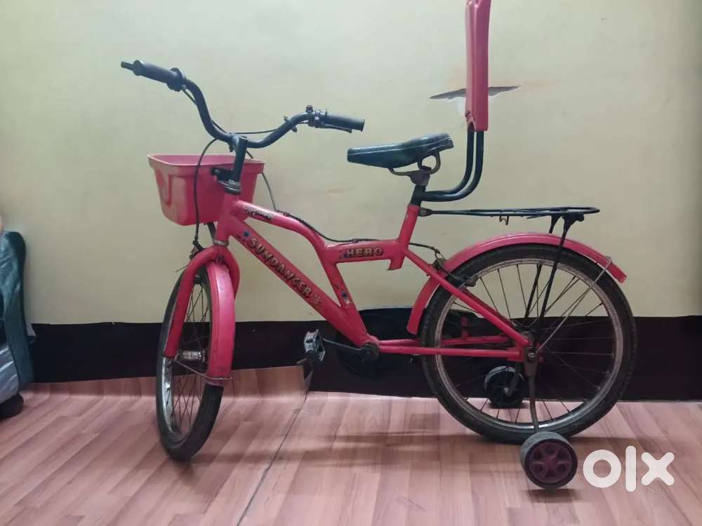 Happy moments with hero