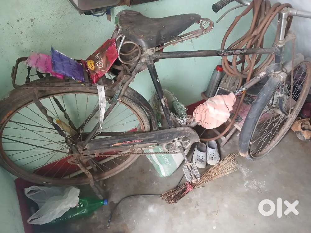 Avon cycle old