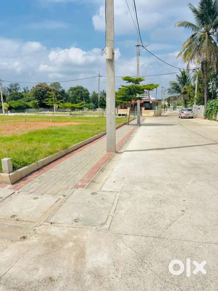 Near Shriramanahalli Rajankunte.